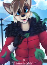 Size: 2436x3340 | Tagged: safe, artist:syncbanned, oc, oc only, canine, mammal, wolf, anthro, blue eyes, brown body, brown fur, brown hair, clothes, cloud, commission, cute, digital art, ears, fur, hair, high res, jacket, looking at you, male, ocbetes, outdoors, rainbow, sky, solo, solo male, topwear, ych result