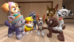 Size: 1280x720 | Tagged: safe, artist:pawtastic01, chase (paw patrol), everest (paw patrol), marshall (paw patrol), rocky (paw patrol), rubble (paw patrol), skye (paw patrol), tracker (paw patrol), zuma (paw patrol), bulldog, canine, chihuahua, cockapoo, dalmatian, dog, german shepherd, husky, labrador, mammal, mutt, nordic sled dog, feral, nickelodeon, paw patrol, 2021, 3d, beanie, black nose, clothes, collar, ears, female, fur, group, hat, helmet, male, open mouth, source filmmaker, tail, tongue, tongue out, topwear, vest