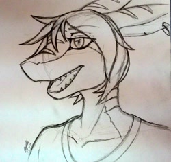 Size: 1280x1206 | Tagged: safe, artist:sealer4258, oc, oc only, fish, shark, anthro, bust, female, open mouth, portrait, sketch, smiling, solo, solo female, traditional art