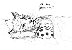 Size: 940x650 | Tagged: safe, artist:titus weiss, oc, oc:enorach, cheetah, feline, mammal, anthro, dialogue, looking at you, lying down, male, monochrome, on back, open mouth, pillow, smiling, solo, solo male, speech bubble, talking, talking to viewer, whiskers