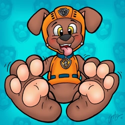 Size: 1280x1280 | Tagged: safe, artist:blackthornpubl, part of a set, zuma (paw patrol), canine, dog, labrador, mammal, anthro, feral, plantigrade anthro, nickelodeon, paw patrol, 2016, barefoot, black nose, blushing, clothes, collar, commission, digital art, feet, fetish, foot fetish, foot focus, fur, helmet, looking at you, male, open mouth, paw pads, paws, sharp teeth, simple background, soles, solo, solo male, tail, teeth, toes, tongue, tongue out, topwear, underpaw, vest