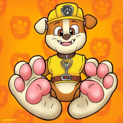 Size: 1280x1280 | Tagged: safe, artist:blackthornpubl, part of a set, rubble (paw patrol), bulldog, canine, dog, mammal, anthro, feral, plantigrade anthro, nickelodeon, paw patrol, 2016, barefoot, black nose, blushing, clothes, collar, commission, digital art, feet, fetish, foot fetish, foot focus, fur, helmet, looking at you, male, open mouth, paw pads, paws, sharp teeth, simple background, smiling, soles, solo, solo male, tail, teeth, toes, tongue, topwear, underpaw, vest