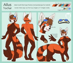 Size: 1280x1103 | Tagged: safe, artist:tigerinspace, oc, oc:ailus (nothingtosay), canine, cape fox, fictional species, fox, hybrid, mammal, red panda, anthro, digitigrade anthro, taur, 2020, 2d, abstract background, brown body, brown fur, brown hair, butt, character name, cheek fluff, color palette, colored pupils, duality, ear fluff, eyebrow through hair, eyebrows, featureless crotch, fluff, front view, fur, goggles, hair, male, multeity, nippleless, open mouth, orange body, orange fur, pandox, paw pads, paws, raised leg, rear view, reference sheet, ringtail, sabertooth (anatomy), scar, side view, solo, solo male, tail, tail fluff, teal eyes, teeth, underpaw, white body, white fur