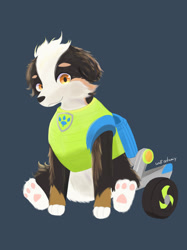 Size: 1280x1707 | Tagged: safe, artist:wolfookamiy, rex (paw patrol), bernese mountain dog, canine, dog, mammal, feral, nickelodeon, paw patrol, 2021, black nose, clothes, digital art, ears, fur, looking at you, male, simple background, sitting, solo, solo male, tail, topwear, vest, wheelchair