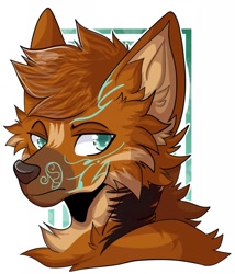 Size: 1097x1280 | Tagged: safe, artist:perosama, oc, oc only, oc:kai (theaceofspades), canine, mammal, maned wolf, anthro, 2019, abstract background, body markings, brown body, brown fur, brown hair, brown nose, bust, cheek fluff, colored pupils, cream body, cream fur, digital art, fluff, fur, hair, male, portrait, solo, solo male