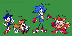 Size: 1328x674 | Tagged: safe, artist:flyingnosaj, miles "tails" prower (sonic), sonic the hedgehog (sonic), canine, fox, hedgehog, mammal, red fox, anthro, plantigrade anthro, sega, sonic the hedgehog (series), dipstick tail, fluff, grin, group, looking at you, male, males only, multiple tails, orange tail, quills, smiling, sneakers, tail, tail fluff, two tails, what if, white tail