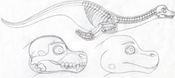 Size: 1024x459 | Tagged: source needed, safe, artist:tektalox, loch ness monster, feral, 2d, ambiguous gender, bone, skeleton, skull, solo, solo ambiguous, traditional art