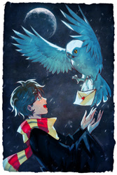Size: 600x900 | Tagged: safe, artist:nakanoart, harry potter (harry potter), hedwig (harry potter), bird, bird of prey, human, mammal, owl, feral, harry potter (series), wizarding world, 2015, ambiguous gender, duo, male, moon