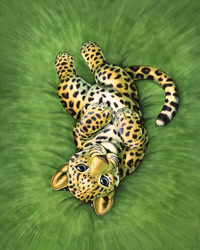 Size: 779x973 | Tagged: safe, artist:panhesekielshiroi, big cat, feline, leopard, mammal, feral, lifelike feral, blue eyes, ears, fur, looking at you, non-sapient, paws, realistic, solo, spots, spotted fur, tail, tan body, tan fur