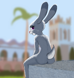 Size: 1742x1832 | Tagged: suggestive, artist:blazera, judy hopps (zootopia), lagomorph, mammal, rabbit, anthro, disney, zootopia, 2017, blurred background, breasts, butt, casual nudity, complete nudity, detailed background, dipstick ears, eyebrows, eyelashes, female, fluff, fur, gray body, gray fur, head fluff, long ears, looking at you, magenta eyes, mystic springs oasis, nudity, outdoors, pink nose, rear view, rearboob, short tail, sitting, solo, solo female, tail, white body, white fur