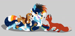 Size: 1280x617 | Tagged: safe, artist:tuwka, copper (the fox and the hound), tod (the fox and the hound), oc, bloodhound, canine, dog, fox, mammal, red fox, feral, disney, the fox and the hound, 2d, commission, cub, gray background, male, males only, on model, puppy, simple background, trio, trio male, ych result, young