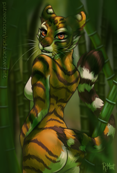 Size: 729x1080 | Tagged: suggestive, artist:radioactivemint, master tigress (kung fu panda), big cat, feline, mammal, tiger, anthro, dreamworks animation, kung fu panda, bamboo, breasts, butt, cheek fluff, complete nudity, detailed background, ear fluff, featureless breasts, female, fluff, fur, looking at you, looking back, looking back at you, nudity, orange body, orange eyes, orange fur, outdoors, rear view, ringtail, sideboob, signature, solo, solo female, striped fur, tail, tail fluff, three-quarter view, tigress, whiskers, white body, white fur