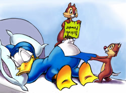 Size: 1024x761 | Tagged: safe, artist:zdrer456, chip (disney), dale (disney), donald duck (disney), bird, chipmunk, duck, mammal, rodent, waterfowl, anthro, disney, mickey and friends, 2017, bed, bird feet, brown body, brown fur, butt, eyes closed, feathers, fur, male, males only, nightcap, on model, pillow, sleeping, trio, trio male, white feathers