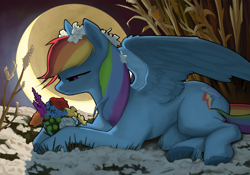 Size: 2000x1403 | Tagged: safe, artist:redruin01, rainbow dash (mlp), equine, fictional species, mammal, pegasus, pony, feral, friendship is magic, hasbro, my little pony, 2021, blue feathers, crescent moon, cute, cutie mark, digital art, feathers, female, flower, flower in hair, grass, hair, hair accessory, hooves, lying down, magenta eyes, mane, mare, moon, on side, outdoors, rainbow hair, side view, solo, solo female, spread wings, tail, underhoof, wings