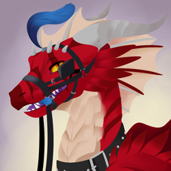 Size: 1000x1000 | Tagged: safe, alternate version, artist:feve, oc, oc only, oc:thorphax, dragon, fictional species, western dragon, feral, 2021, bit, blinders, collar, colored sclera, colored tongue, cream body, cream scales, digital art, feather, front view, horns, male, orange eyes, purple tongue, red scales, reins, scales, sharp teeth, slit pupils, solo, solo male, striped body, tack, teeth, three-quarter view, tongue, yellow sclera