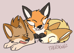 Size: 700x500 | Tagged: safe, artist:theroguez, oc, oc:fenfen, oc:foxfox (theroguez), canine, coyote, fennec fox, fox, jackal, mammal, feral, 2d, 2d animation, ambiguous gender, ambiguous only, animated, blep, cute, frame by frame, fur, gif, group, orange body, orange fur, paws, sleeping, tan body, tan fur, tongue, tongue out, trio, trio ambiguous, white body, white fur