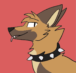Size: 587x569 | Tagged: safe, artist:theroguez, oc:rayj (theroguez), canine, coydog, coyote, dog, hybrid, mammal, feral, 2d, 2d animation, animated, brown body, brown fur, cheek fluff, collar, female, fluff, frame by frame, fur, gif, looking at you, red background, side view, simple background, solo, solo female, spiked collar, yellow body, yellow fur