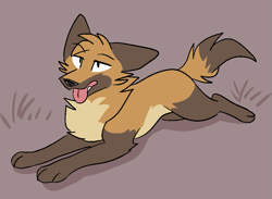 Size: 897x657 | Tagged: safe, artist:theroguez, oc, oc only, oc:rayj (theroguez), canine, coydog, coyote, dog, hybrid, mammal, feral, 2021, brown body, brown fur, cheek fluff, chest fluff, digital art, female, fluff, fur, lying down, neck fluff, prone, solo, solo female, sploot, tongue, tongue out, yellow body, yellow fur