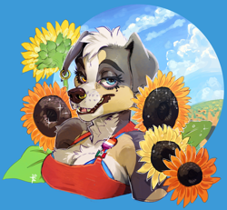 Size: 1446x1336 | Tagged: safe, artist:twistedteeth, oc, oc:misha, canine, dog, mammal, anthro, background, breasts, bust, chest fluff, cleavage, clothes, cloud, cottagecore, ear piercing, earring, eyelashes, female, flower, fluff, hair, heterochromia, lesbian pride flag, lidded eyes, looking at you, mexican, nose piercing, nose ring, piercing, pride flag, pride pin, sky, solo, solo female, sunflower