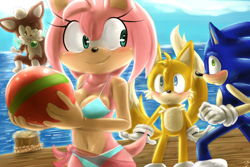 Size: 1500x1000 | Tagged: safe, artist:bluechika, amy rose (sonic), chip (sonic), miles "tails" prower (sonic), sonic the hedgehog (sonic), ambiguous species, canine, fox, hedgehog, mammal, red fox, anthro, semi-anthro, sega, sonic the hedgehog (series), sonic unleashed, 2014, ball, beach, beach ball, belly button, bikini, blue eyes, blushing, breasts, cleavage, clothes, cloud, day, dipstick tail, female, fluff, flying, green bikini, green eyes, green swimsuit, hands, male, male/female, multiple tails, orange tail, pier, quills, shipping, smiling, smirk, smug, smug face, sonamy (sonic), swimsuit, tail, tail fluff, two tails, water, white tail, yellow eyes