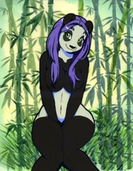 Size: 781x1000 | Tagged: suggestive, artist:inktigerart, bear, mammal, panda, anthro, animation cel, belly button, breasts, female, green eyes, hair, looking at you, purple hair, solo, solo female, strategically covered
