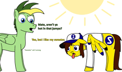 Size: 1161x688 | Tagged: safe, artist:didgereethebrony, oc, oc only, oc:didgeree, oc:ponyseb, equine, fictional species, mammal, pegasus, pony, feral, friendship is magic, hasbro, my little pony, clothes, cutie mark, duo, duo male, exhausted, male, males only, simple background, stallion, sun, sweat, sweater, tongue, tongue out, topwear, transparent background