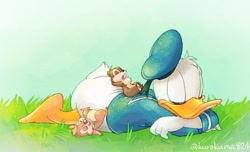Size: 1526x927 | Tagged: safe, artist:kurokuma824, chip (disney), dale (disney), donald duck (disney), bird, chipmunk, duck, mammal, rodent, waterfowl, anthro, disney, mickey and friends, 2d, beak, bottomless, brown body, brown fur, cute, eyes closed, feathers, fur, male, males only, partial nudity, sleeping, trio, trio male, white feathers