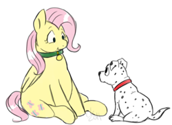 Size: 960x699 | Tagged: dead source, safe, artist:cartoonlion, fluttershy (mlp), rolly (101 dalmatians), canine, dalmatian, dog, equine, fictional species, mammal, pegasus, pony, feral, 101 dalmatians, disney, friendship is magic, hasbro, my little pony, 2d, collar, crossover, cutie mark, duo, duo male and female, fat, female, fur, green collar, hair, looking at each other, male, mane, mare, pink hair, pink mane, pink tail, puppy, red collar, simple background, tail, white background, white body, white fur, yellow body, yellow fur, young