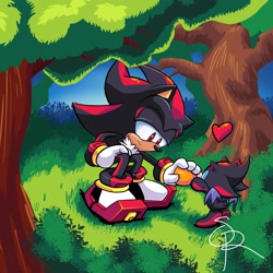 Size: 2048x2048 | Tagged: safe, artist:silhouetterobotnik, shadow the hedgehog (sonic), chao, fictional species, hedgehog, mammal, anthro, plantigrade anthro, semi-anthro, sega, sonic the hedgehog (series), 2021, ambiguous gender, duo, high res, male, quills