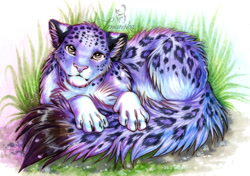 Size: 1006x709 | Tagged: safe, artist:imanika, big cat, feline, leopard, mammal, feral, 2015, ear fluff, female, fluff, fur, looking at you, solo, solo female, spotted fur, tail, tail fluff, traditional art