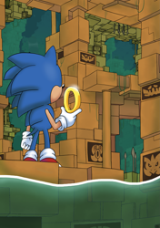 Size: 2039x2893 | Tagged: safe, artist:thejege12, classic sonic, sonic the hedgehog (sonic), hedgehog, mammal, sega, sonic the hedgehog (series), 2016, carving, high res, indoors, labyrinth zone, landscape, male, maze, quills, ring (sonic), ruins, scenery, scenery porn, solo, solo male, standing, trap (device), water