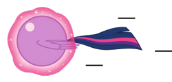 Size: 375x180 | Tagged: safe, artist:mega-poneo, twilight sparkle (mlp), alicorn, equine, fictional species, mammal, pony, ambiguous form, friendship is magic, hasbro, my little pony, sega, sonic the hedgehog (series), 2020, ball, crossover, female, low res, magic, mare, motion lines, rolling, simple background, solo, solo female, spin dash, spread wings, tail, transparent background, wings