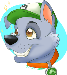 Size: 841x943 | Tagged: safe, artist:skittledeedoo, rocky (paw patrol), dog, mammal, mutt, feral, nickelodeon, paw patrol, 2016, black nose, bust, cap, clothes, collar, digital art, ears, fur, hat, looking at you, male, portrait, solo, solo male, tail
