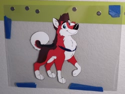 Size: 1280x960 | Tagged: safe, artist:dropmutt, oc, oc only, canine, dog, husky, mammal, feral, animation cel, front view, fur, irl, looking at you, male, photo, photographed artwork, raised leg, red body, red fur, smiling, smiling at you, solo, solo male, three-quarter view