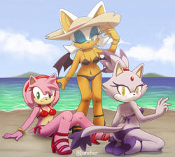 Size: 1200x1082 | Tagged: safe, artist:nancher, amy rose (sonic), blaze the cat (sonic), rouge the bat (sonic), bat, cat, feline, hedgehog, mammal, anthro, sega, sonic the hedgehog (series), 2018, bat wings, beach, belly button, bikini, black bikini, black swimsuit, breasts, cleavage, clothes, cloud, day, female, females only, hat, high heels, looking at you, ocean, one eye closed, purple bikini, purple swimsuit, quills, red bikini, red swimsuit, sandals, sexy, shoes, sky, swimsuit, trio, trio female, water, webbed wings, wings, winking