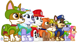 Size: 1203x664 | Tagged: safe, artist:rainbow eevee, chase (paw patrol), everest (paw patrol), marshall (paw patrol), rocky (paw patrol), rubble (paw patrol), skye (paw patrol), tracker (paw patrol), zuma (paw patrol), bulldog, canine, chihuahua, cockapoo, dalmatian, dog, english bulldog, german shepherd, husky, labrador, mammal, mutt, nordic sled dog, feral, nickelodeon, paw patrol, determined, female, group, male, mix breed, open mouth, simple background, sitting, transparent background, vector