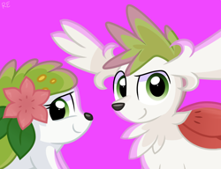 Size: 1500x1150 | Tagged: safe, artist:rainbow eevee, fictional species, legendary pokémon, mammal, mythical pokémon, shaymin, shaymin sky forme, nintendo, pokémon, cute, determined, duo, fanart, flower, green eyes, looking at you, pink background, simple background, smiling, smiling at you
