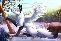 Size: 1280x853 | Tagged: safe, artist:ketty, oc, oc only, canine, fictional species, fox, kitsune, mammal, feral, berries, black body, black fur, butt fluff, cheek fluff, chest fluff, claws, ear fluff, feathered wings, feathers, fluff, food, forest, fruit, fur, hair, male, multiple tails, outdoors, paws, raised tail, scenery, side view, sitting, snow, solo, solo male, spread wings, tail, tree, tree stump, two tails, two toned body, white body, white feathers, white fur, white hair, wings, winter, yellow eyes