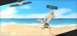 Size: 4000x1849 | Tagged: safe, artist:fironmaplez, bird, bird of prey, canine, eagle, fennec fox, fox, mammal, anthro, feral, plantigrade anthro, super animal royale, 2020, ambient wildlife, beach, bottomwear, clothes, dialogue, hat, male, ocean, running, scared, shorts, sky, solo, solo male, tail, talking, teeth, water
