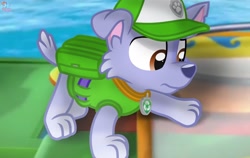 Size: 1280x810 | Tagged: safe, artist:rainbow eevee, rocky (paw patrol), dog, mammal, mutt, feral, nickelodeon, paw patrol, 2020, bag, black nose, cap, clothes, collar, digital art, ears, fur, hat, male, paws, phobia, solo, solo male, tail, topwear, vest, worried