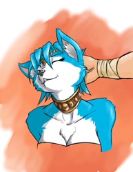 Size: 618x800 | Tagged: safe, artist:hattonslayden, krystal (star fox), canine, fox, human, mammal, anthro, nintendo, star fox, blue body, blue fur, blue hair, breasts, collar, cuddling, disembodied hand, duo, ear scratch, eyes closed, female, fur, hair, human/anthro, interspecies, jewelry, male, male/female, multicolored body, multicolored fur, offscreen character, petting, simple background, vixen, white body, white fur
