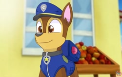 Size: 1280x809 | Tagged: safe, artist:rainbow eevee, chase (paw patrol), canine, dog, german shepherd, mammal, feral, nickelodeon, paw patrol, 2020, bag, black nose, clothes, collar, digital art, ears, fur, hat, male, solo, solo male, topwear, vest