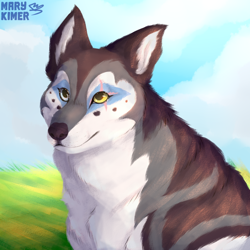 Size: 1000x1000 | Tagged: safe, artist:marykimer, canine, mammal, wolf, feral, ambiguous gender, canadian wolf, cloud, eye scar, grass, heterochromia, icon, mexican wolf, scar, sky, solo, solo ambiguous