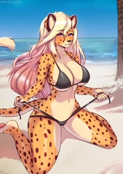 Size: 919x1300 | Tagged: suggestive, artist:zetsuboucchi, oc, oc only, oc:alexandra (velocitycat), cheetah, feline, mammal, anthro, 2020, beach, bedroom eyes, belly button, big breasts, bikini, blonde hair, breasts, butt, clothes, cute, cute little fangs, detailed background, ear fluff, eyebrows, eyelashes, fangs, female, fluff, fur, hair, kneeling, long hair, looking at you, narrowed eyes, orange body, orange fur, outdoors, paw pads, paws, purple eyes, sharp teeth, solo, solo female, spotted fur, swimsuit, tail, tan body, tan fur, teasing, teeth, three-quarter view, underass, undressing