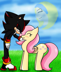 Size: 1640x1956 | Tagged: safe, artist:soul-yagami64, fluttershy (mlp), maria robotnik (sonic), shadow the hedgehog (sonic), equine, fictional species, hedgehog, mammal, pegasus, pony, anthro, feral, plantigrade anthro, friendship is magic, hasbro, my little pony, sega, sonic the hedgehog (series), 2017, crossover, female, male, quills