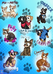 Size: 1775x2457 | Tagged: safe, artist:rainbow eevee, canine, cat, dog, feline, mammal, bandanna, basket, blep, clothes, collar, cute, gradient background, hoodie, kitten, lei, looking at each other, looking down, looking up, lying down, on side, open mouth, paw prints, pet, puppy, siblings, sitting, smiling, tongue, tongue out, topwear, young
