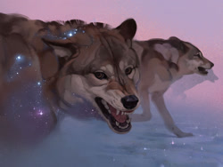 Size: 1024x769 | Tagged: safe, artist:shrimpu-art, canine, mammal, wolf, feral, lifelike feral, ambiguous gender, fangs, group, hunting, looking at you, magic, non-sapient, open mouth, realistic, sharp teeth, snow, standing, teeth, trio