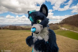 Size: 2048x1365 | Tagged: safe, artist:fursuitsbylacy, oc, oc only, oc:raven (raven_the_husky), canine, dog, husky, mammal, anthro, 2021, blue body, blue fur, blue nose, cheek fluff, chest fluff, cloud, fluff, front view, fullsuit, fur, fursuit, grass, gray body, gray fur, green eyes, hair, irl, male, mountain, multicolored fur, outdoors, photo, solo, solo male, standing, three-quarter view, tree