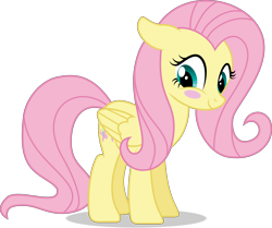 Size: 8572x7159 | Tagged: safe, artist:thatusualguy06, fluttershy (mlp), equine, fictional species, mammal, pegasus, pony, feral, friendship is magic, hasbro, my little pony, .svg available, absurd resolution, blushing, female, floppy ears, looking at you, mare, on model, simple background, solo, solo female, transparent background, vector
