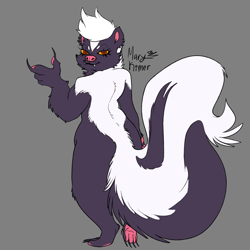 Size: 3000x3000 | Tagged: safe, artist:marykimer, mammal, skunk, black body, black fur, brown eyes, claws, colored sketch, ears, fluff, full body, fur, gray background, hair, high res, looking at you, looking back, looking back at you, male, paw pads, paws, rear view, simple background, sketch, solo, solo male, tail, tail fluff, white body, white fur, white hair, white stripe